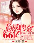鑽石豪門：總裁聘金66億